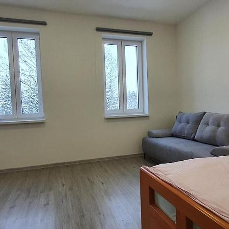 Apartment 35M2 Karlovy Vary Ngoại thất bức ảnh