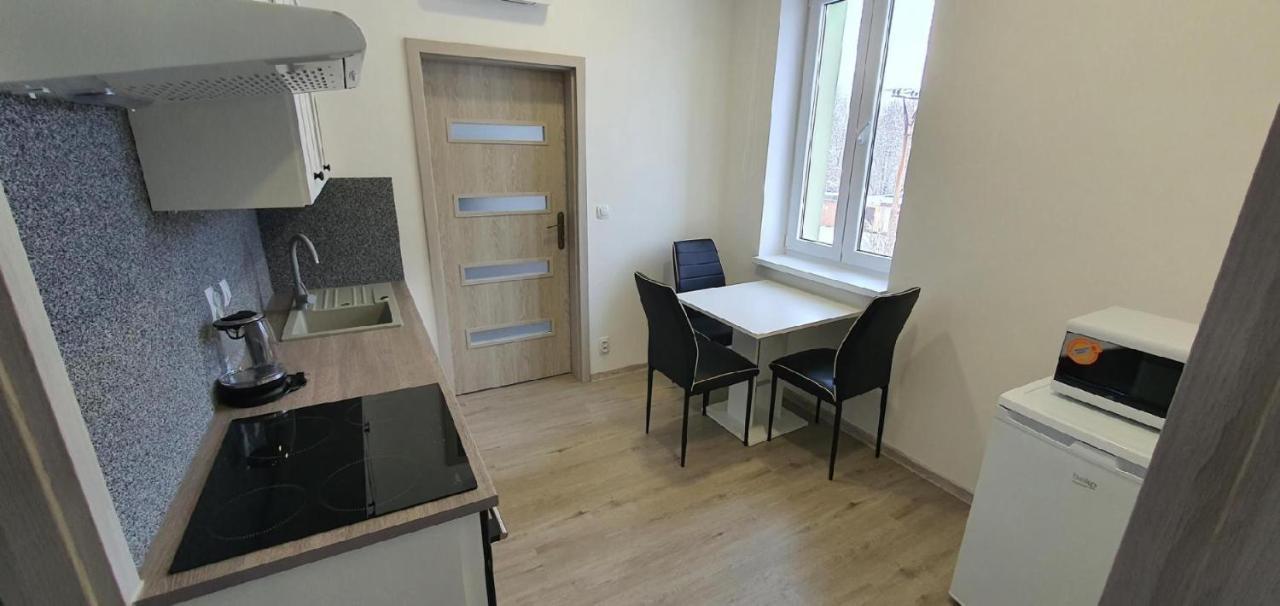 Apartment 35M2 Karlovy Vary Ngoại thất bức ảnh