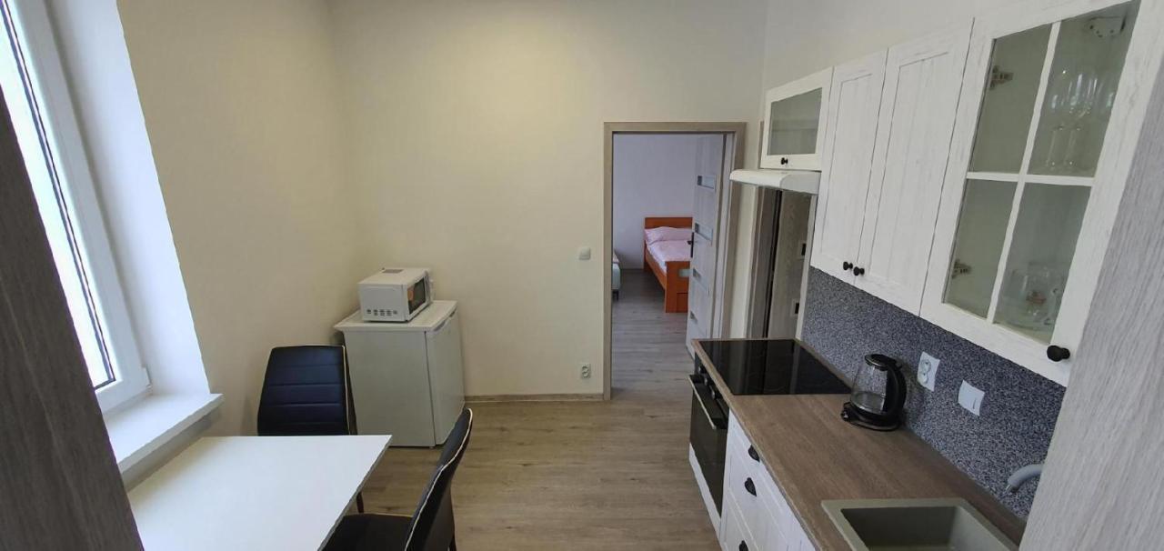 Apartment 35M2 Karlovy Vary Ngoại thất bức ảnh